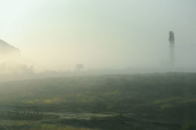 Scenic view of landscape against sky