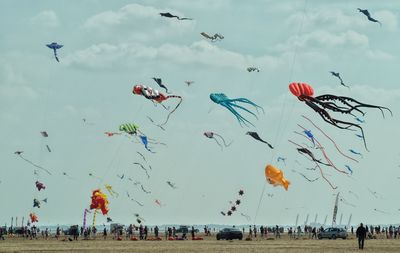 Kite festival 