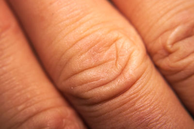 Close-up of fingers