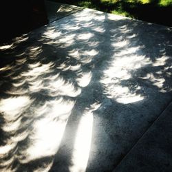 High angle view of shadow on water