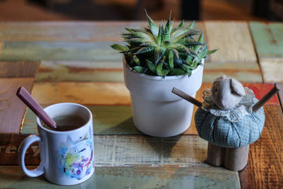 Succulent plant amidst toy and drink on table