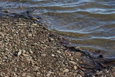 High angle view of surf on beach