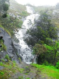 Scenic view of waterfall in forest