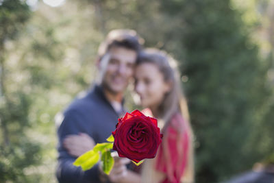 Close-up of rose against blurred background