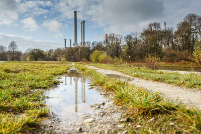 Reflection of trees in water