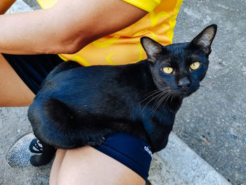 Midsection of woman with cat