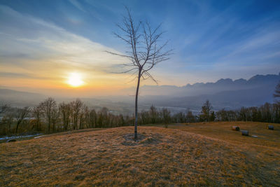 Scenic view of field against sky during sunset