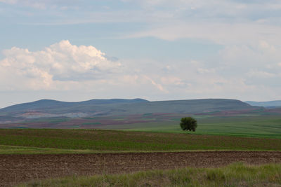 Scenic view of field against sky