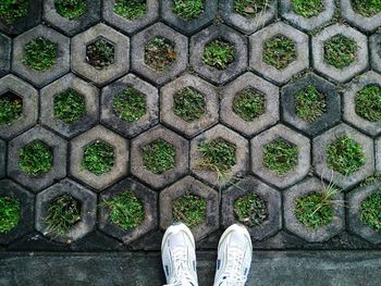 Low section of person standing on walkway