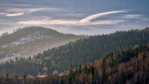 Panoramic view of trees and mountains against sky