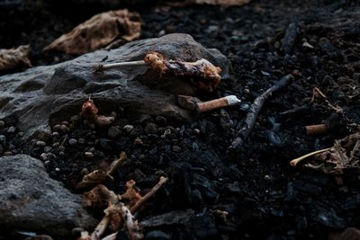 High angle view of leftovers and cigarette butts on coal