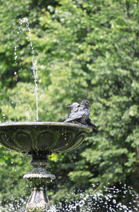 Close-up of water splashing on fountain