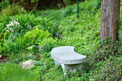 Table and plants on field in garden