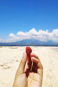 Midsection of person holding ice cream on beach