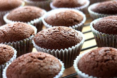 Close-up of chocolate cupcakes