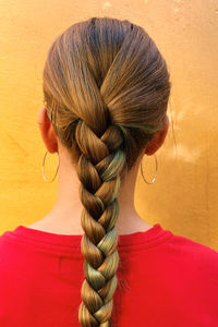 Rear view of woman with braided hair