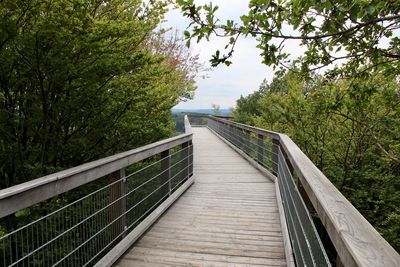 Footbridge amidst trees against sky