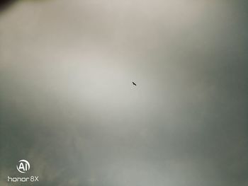 Low angle view of bird flying in sky