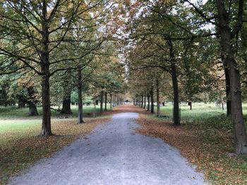 Road amidst trees in park during autumn