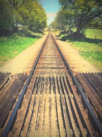 Railroad tracks amidst trees against sky