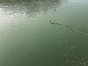 High angle view of man in lake