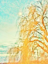 Close-up of tree by water against sky