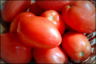 Close-up of tomatoes