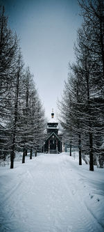 Snow covered landscape