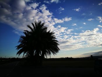 Silhouette palm tree on field against sky at sunset