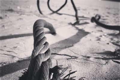 Close-up of rope on sand