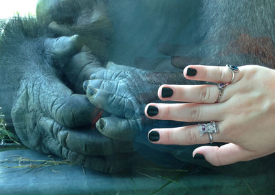 Close-up of hands