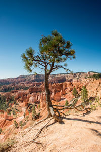 Scenic view of landscape against clear blue sky