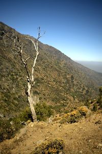 Scenic view of mountains against clear sky