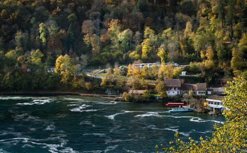 River amidst trees and mountains during autumn