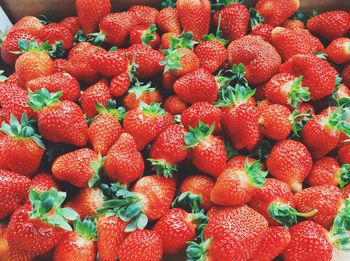 Full frame shot of strawberries