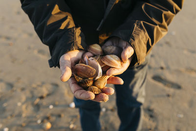 Senior man strolling at the beach, collecting shells