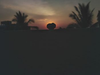 Silhouette trees against sky during sunset