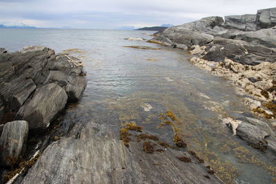 Rocks on shore