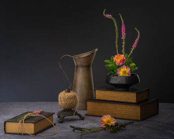 Close-up of potted plant on table against black background