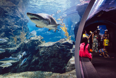 Woman swimming in fish tank at aquarium