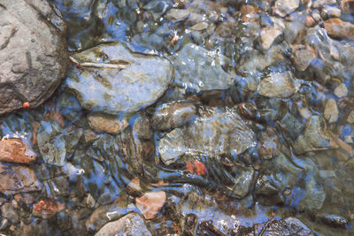 Reflection of rocks in water