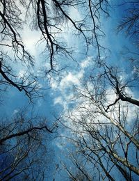 Low angle view of bare trees against cloudy sky