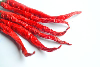 Close-up of red chili pepper against white background