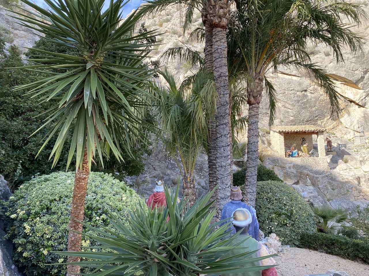 PALM TREES BY PLANTS AGAINST BUILDINGS