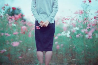 Rear view of woman holding pink cosmos flower while standing amidst plants on field