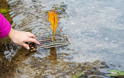 High angle view of hand flowing wood with autumn leaf in river