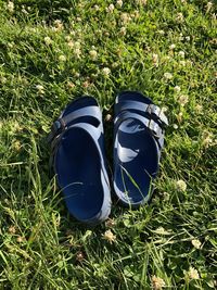 High angle view of shoes on field