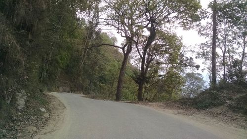 Empty road along trees