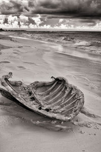 Driftwood on beach against sky