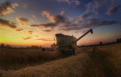 View of agricultural field against cloudy sky at sunset